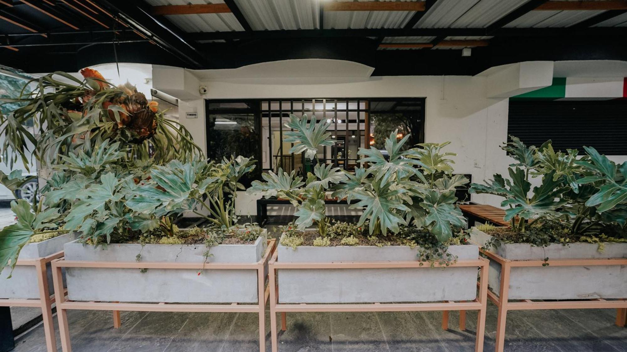 Hotel Balcones Del Estadio